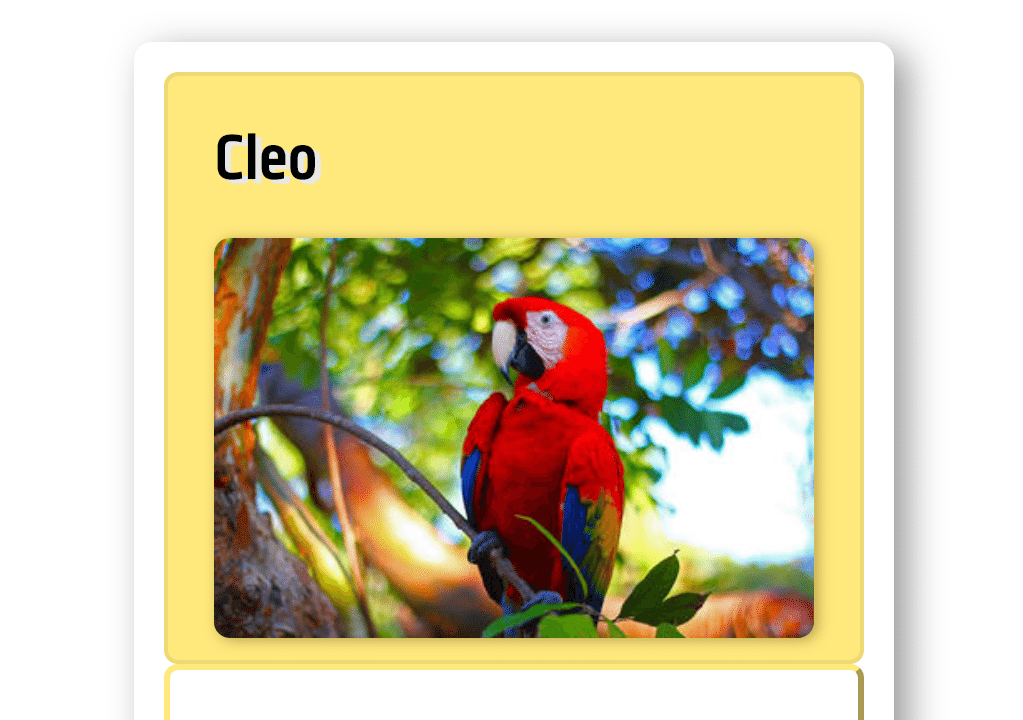 Animal Trading Card Project